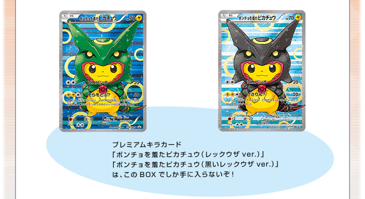 ポケモンカードゲームXY BREAK スペシャルBOX レックウザポンチョを着