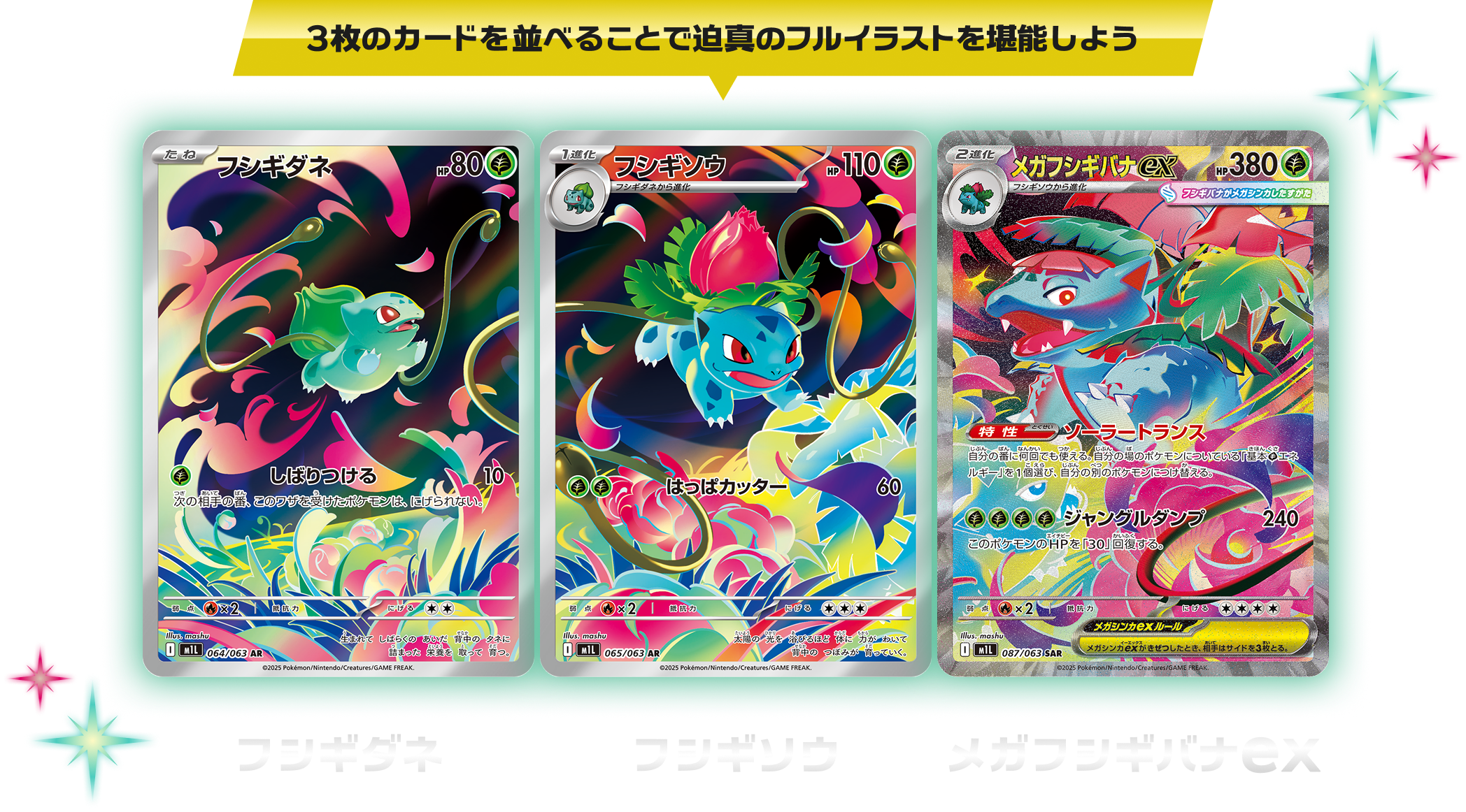 ラ*フ様 2025 ポケモン メガフシギバナ ex PSA10 2025 ポケモン メガ