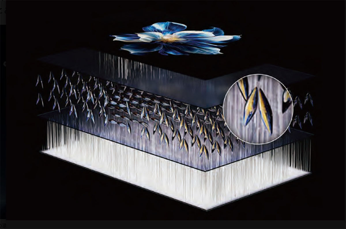 TCLの4K Mini LED液晶テレビ「Q7C」シリーズがブラックフライデーに