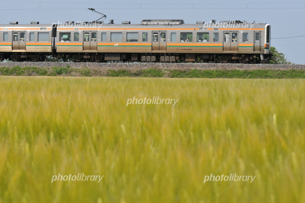両毛線 211系ダブルパンタ車の側面 写真素材 [7308819] - フォトライブ
