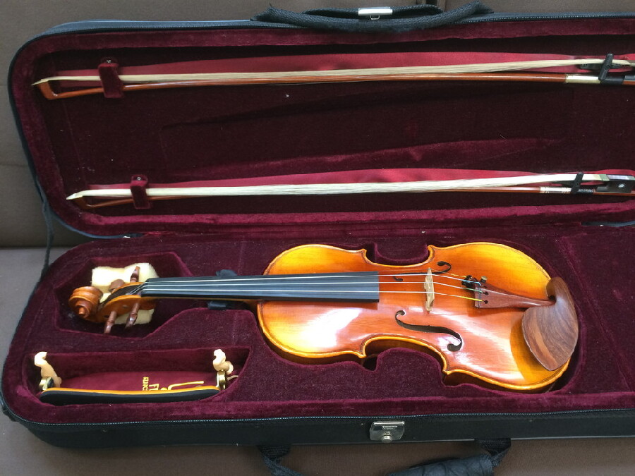 Valente バイオリン VN-60 入荷しました｜2024年09月12日｜静岡県の