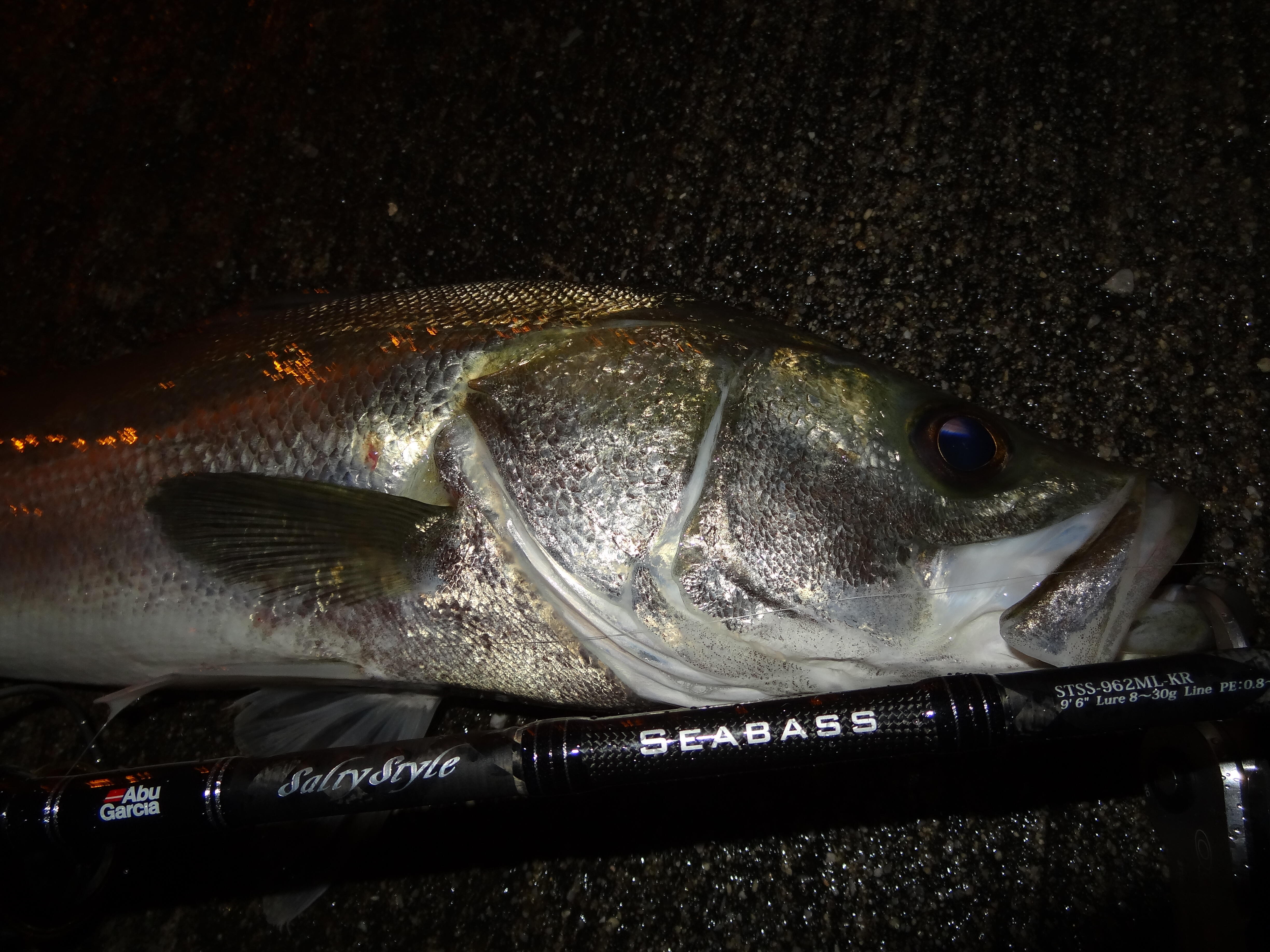 Salty Style SEABASS（ソルティースタイルシーバス）｜AbuGarcia｜釣具