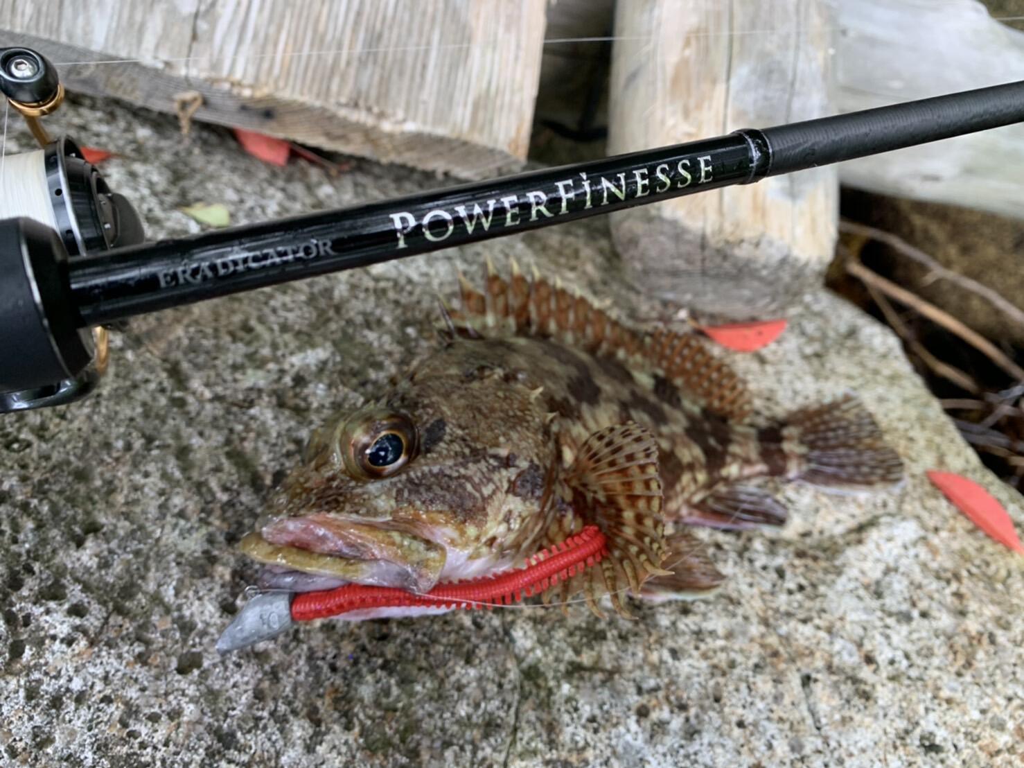 Eradicator Realfinesse Prototype (エラディケーター リアルフィネス