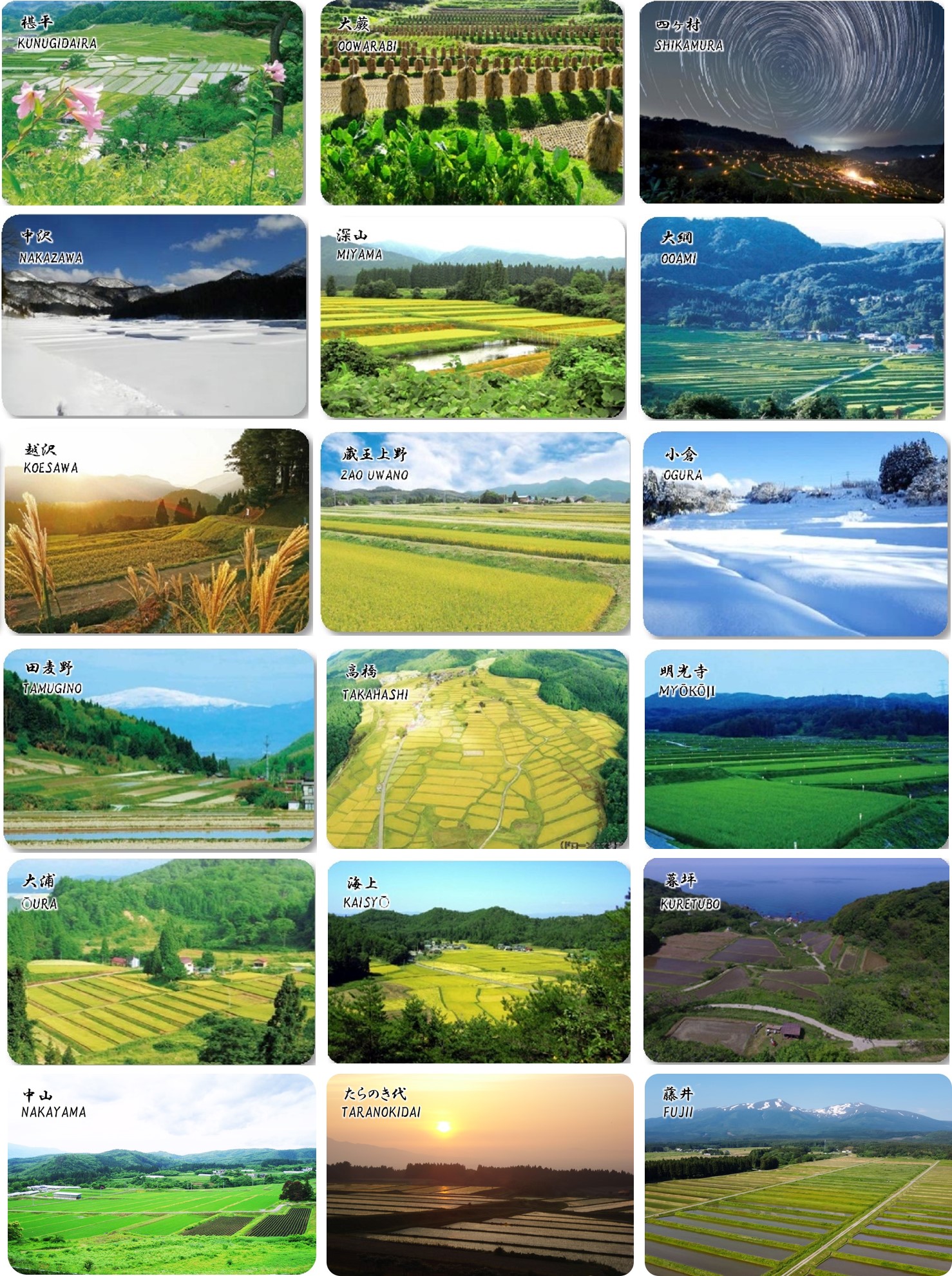 やまがたの棚田カード | 山形県