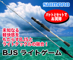 船ロッド 数量限定在庫処分市