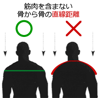 ダグラス ショルダーパッド レガシーJD｜アメフト用品専門店 QB CLUB