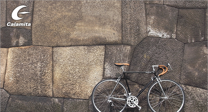 Calamita（カラミータ） DUE PLUS （デュエプラス）シルクブラッシュ