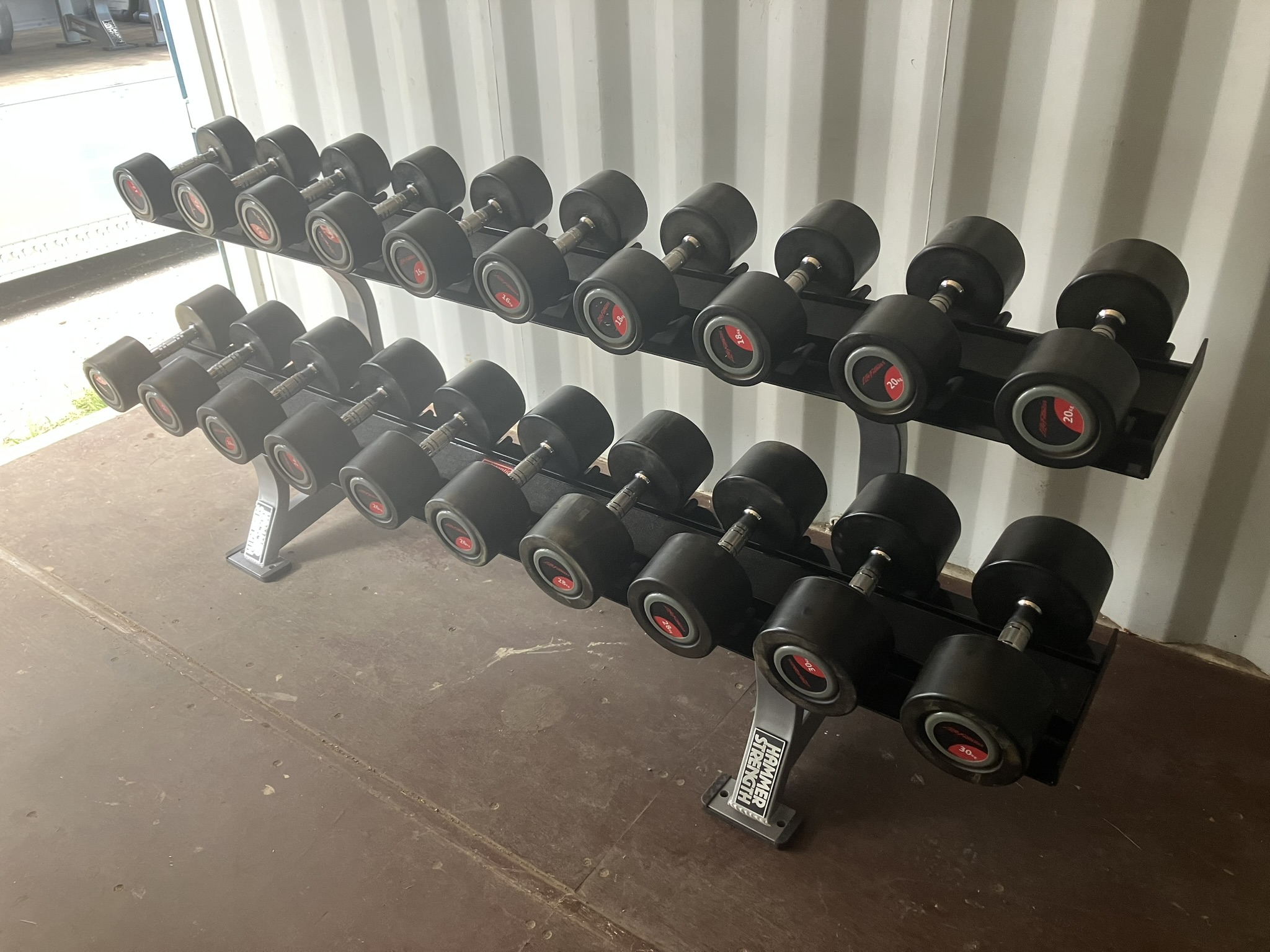 Life Fitness ライフフィットネス 12kg～30kg ラバーダンベル ペア