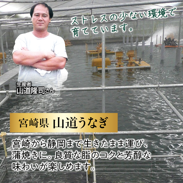 しずてつストアオンラインショップ / SS521 山道うなぎ長蒲焼 2尾