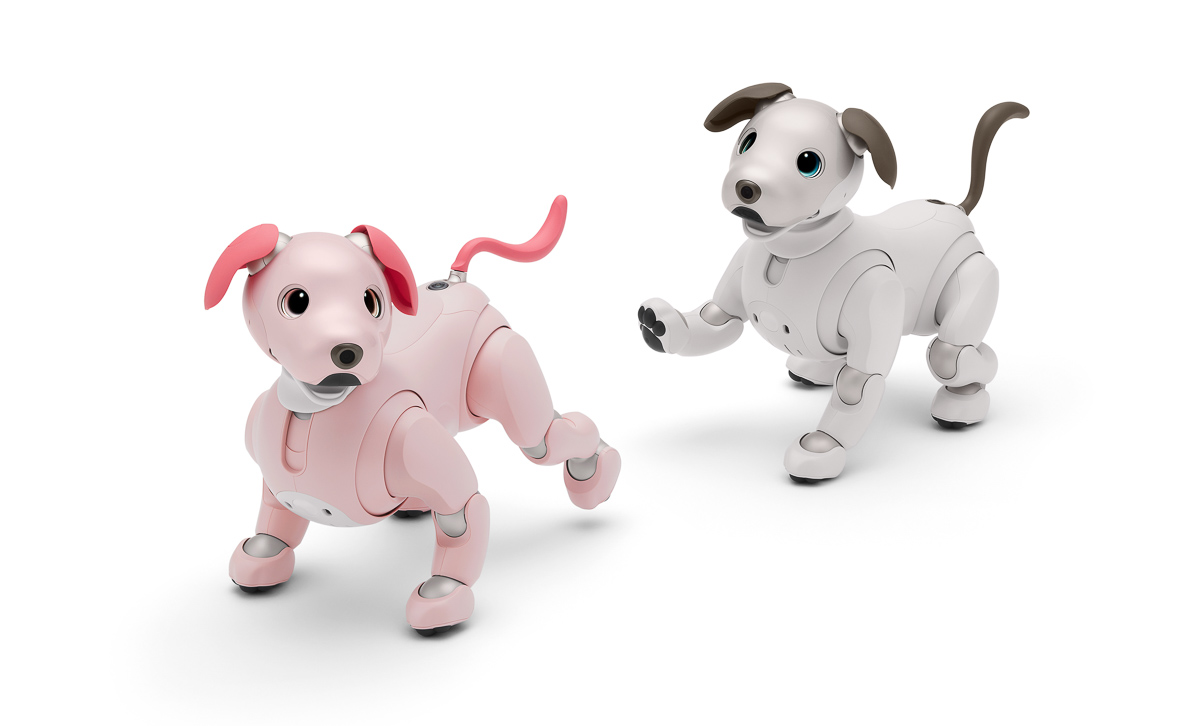 ピンクのaibo「いちごミルク」誕生。専用ダンスも - Impress Watch