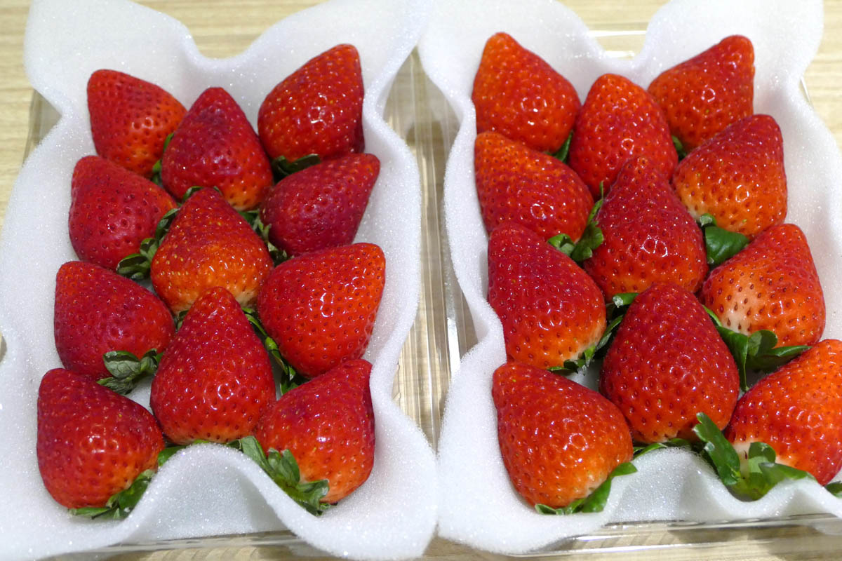 氷点下でも凍らない「電圧冷蔵」で生鮮品を長期保存 NTT東と大阪大学