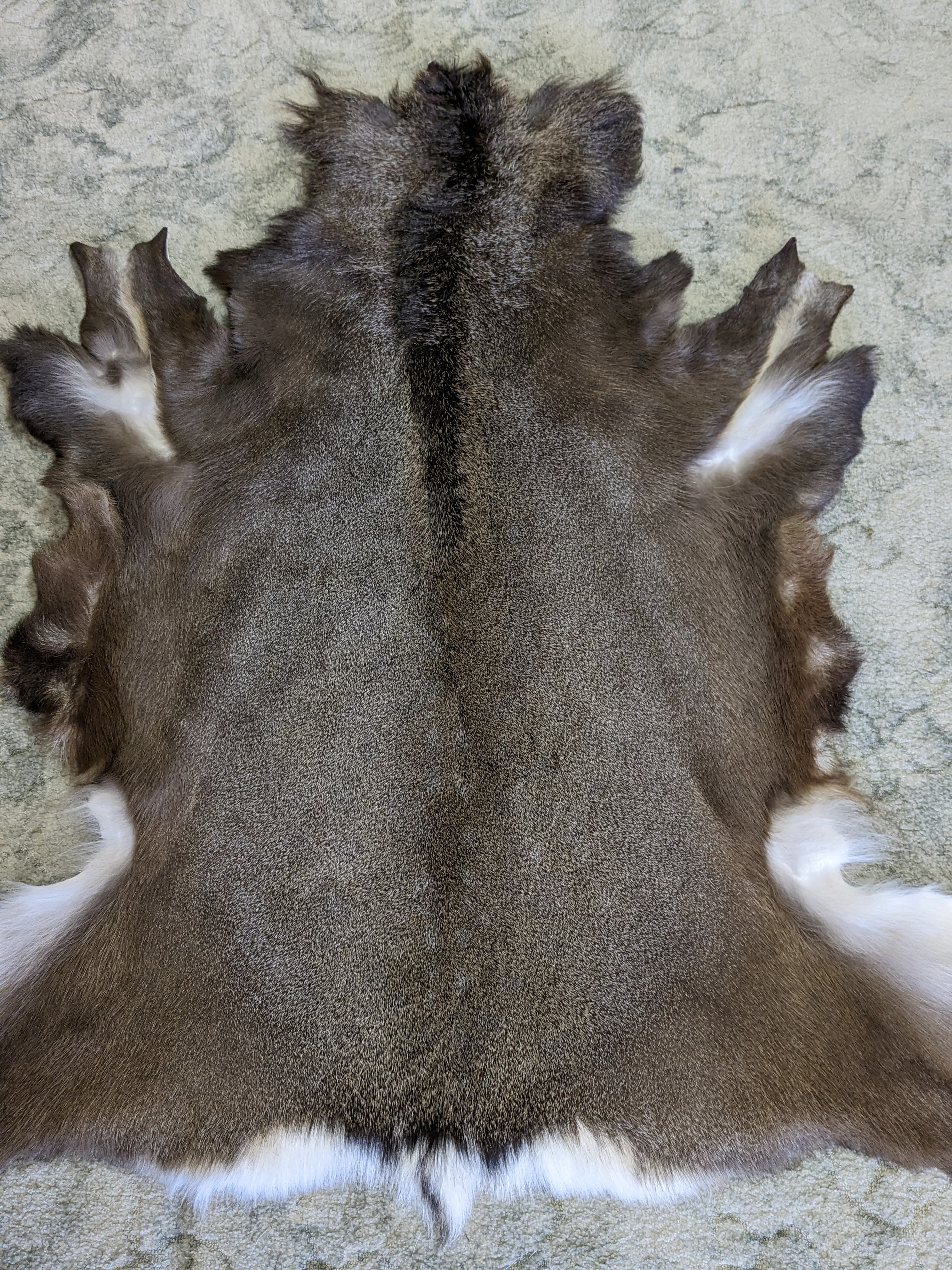 有限会社若松毛皮｜鹿皮について