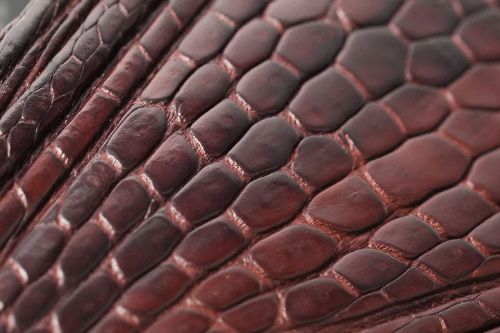 2024WILDSWANS CROCODILE FAIR 5(ベイカーオークバークポロサス編