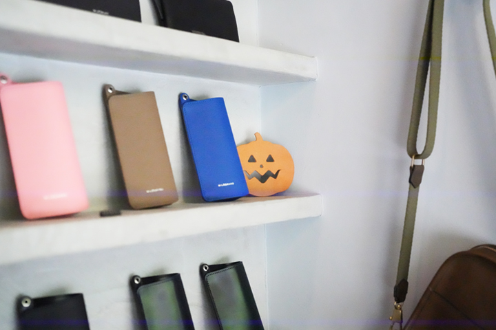 WILDSWANS銀座店からのご案内～クロコダイル編～ | WILDSWANS(ワイルド