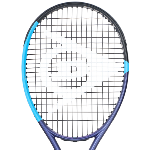 ウインザーオンラインショップダンロップ エフエックス 500 エルエス