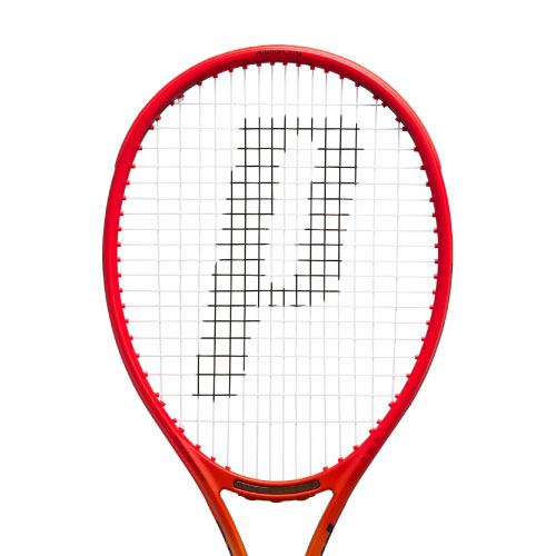 ウインザーオンラインショッププリンス ビースト DB 100 280g（prince