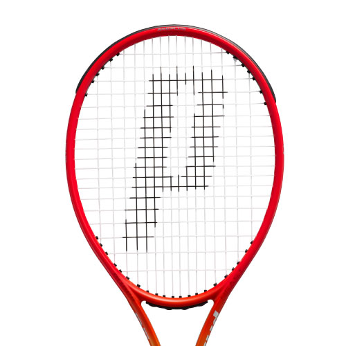 ウインザーオンラインショッププリンス ビースト O3 100 280g（prince