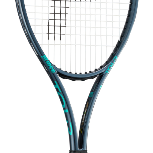 ウインザーオンラインショッププリンス ツアー 98（prince TOUR 98