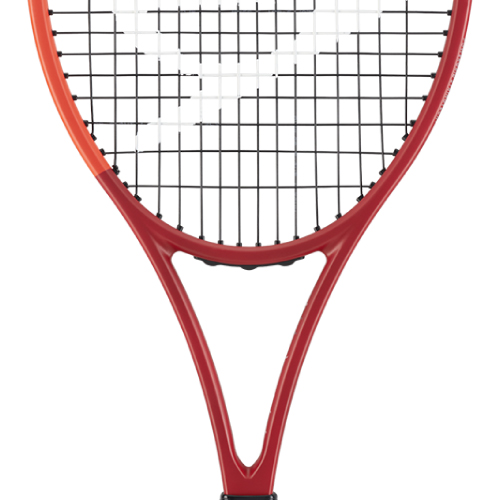 ウインザーオンラインショップダンロップ シーエックス 200 ツアー