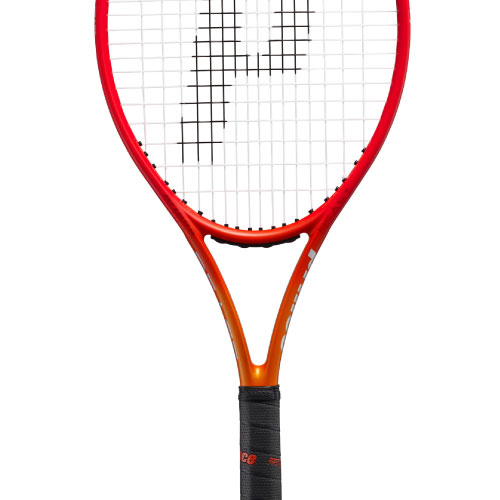 ウインザーオンラインショッププリンス ビースト O3 100 280g（prince