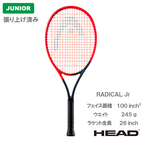 ウインザーオンラインショップ【SALE】 【張り上げ済み】ヘッド