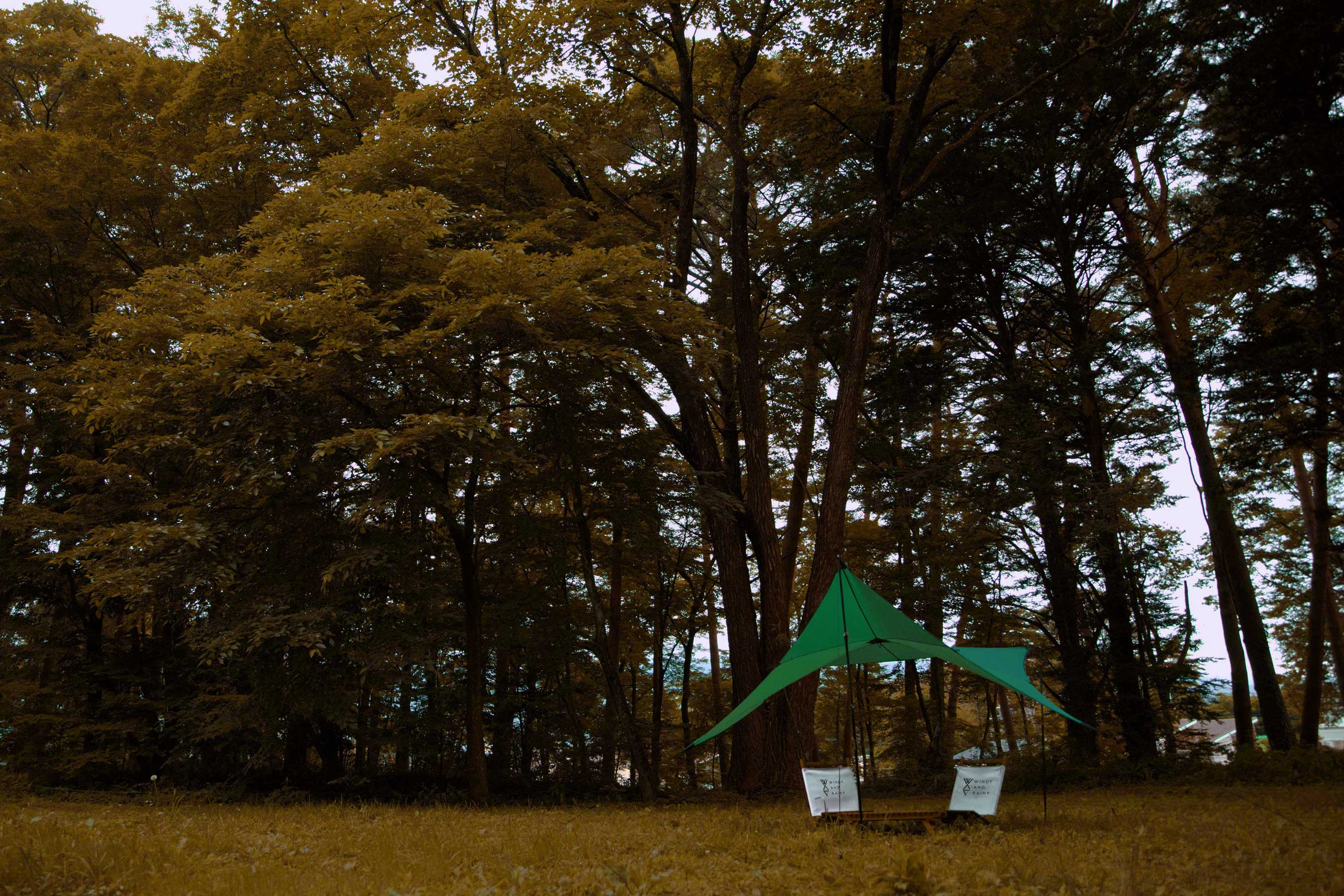 WINDY AND RAINY / TOPページ