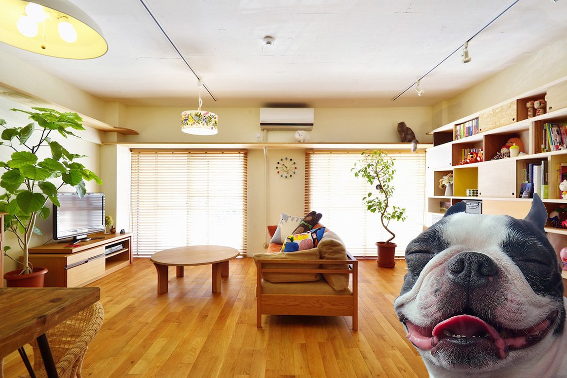 防犯カメラ 自動追跡カメラ、ネットワークカメラ WTW-IPW108 220万画素