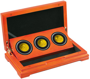 ソチ2014オリンピック冬季競技大会公式記念コイン