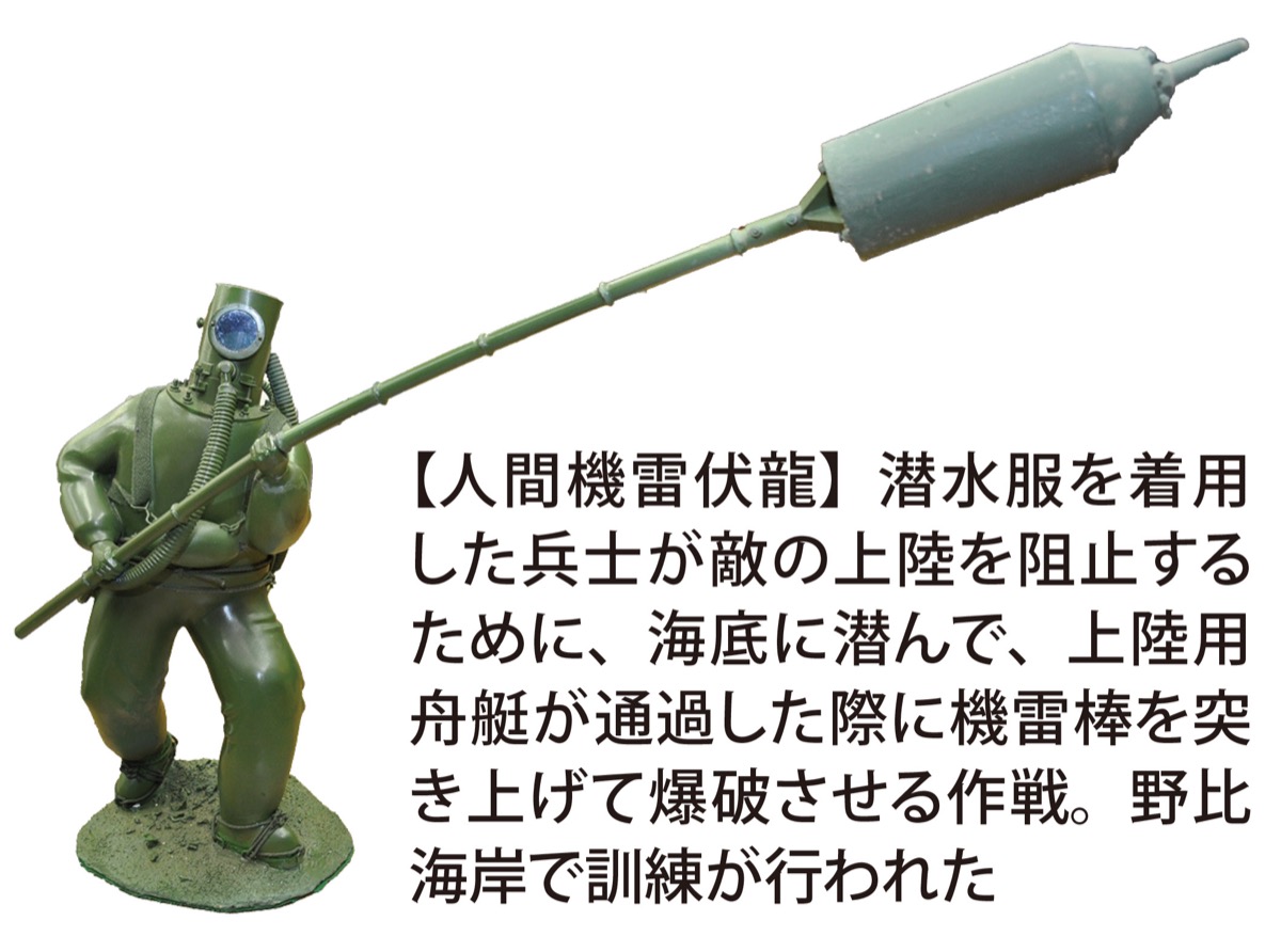 横須賀市自然・人文博物館 史料からたどる特攻 横須賀出身の隊員の事例