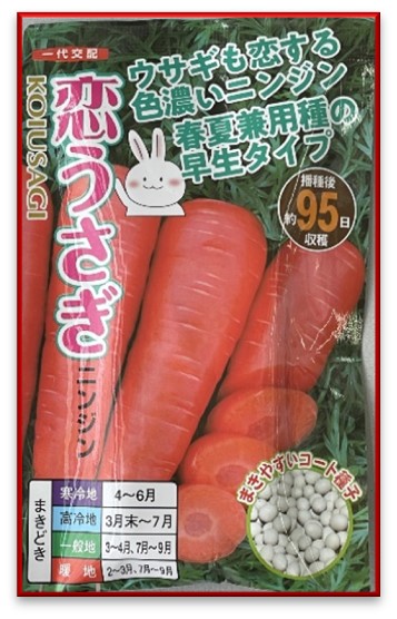 人参の夏蒔きシーズン到来！｜トヨタネブログ「クロロフィル通信