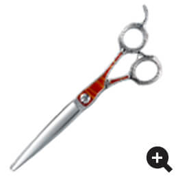 クランスピリット - TOGINON