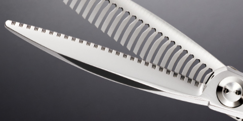 ダイナザウルス - TOGINON