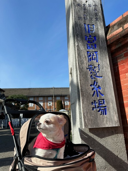 ペットを連れて富岡製糸場へ🐾ペットと一緒に楽しめる富岡市をご案内