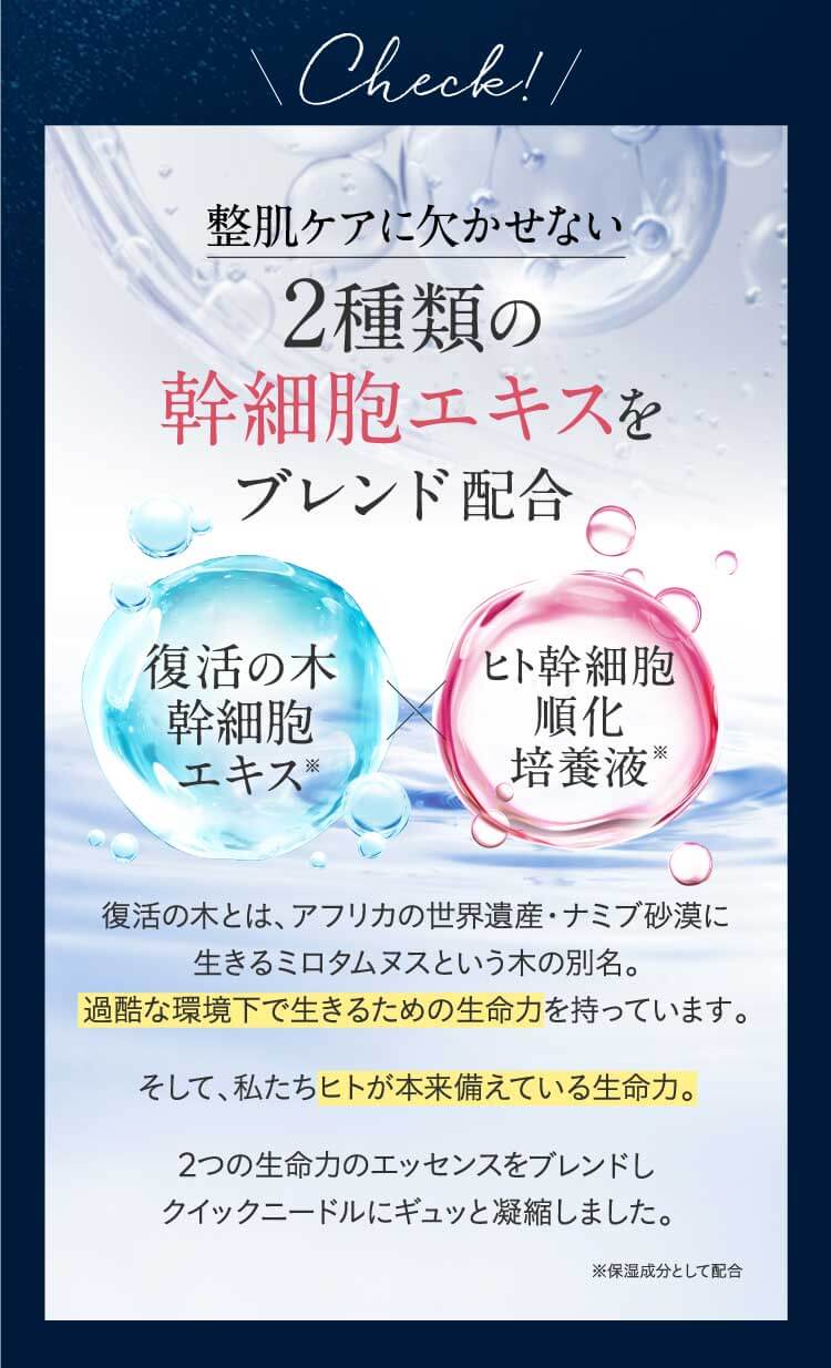 公式】NNE グラインディングファンデーション