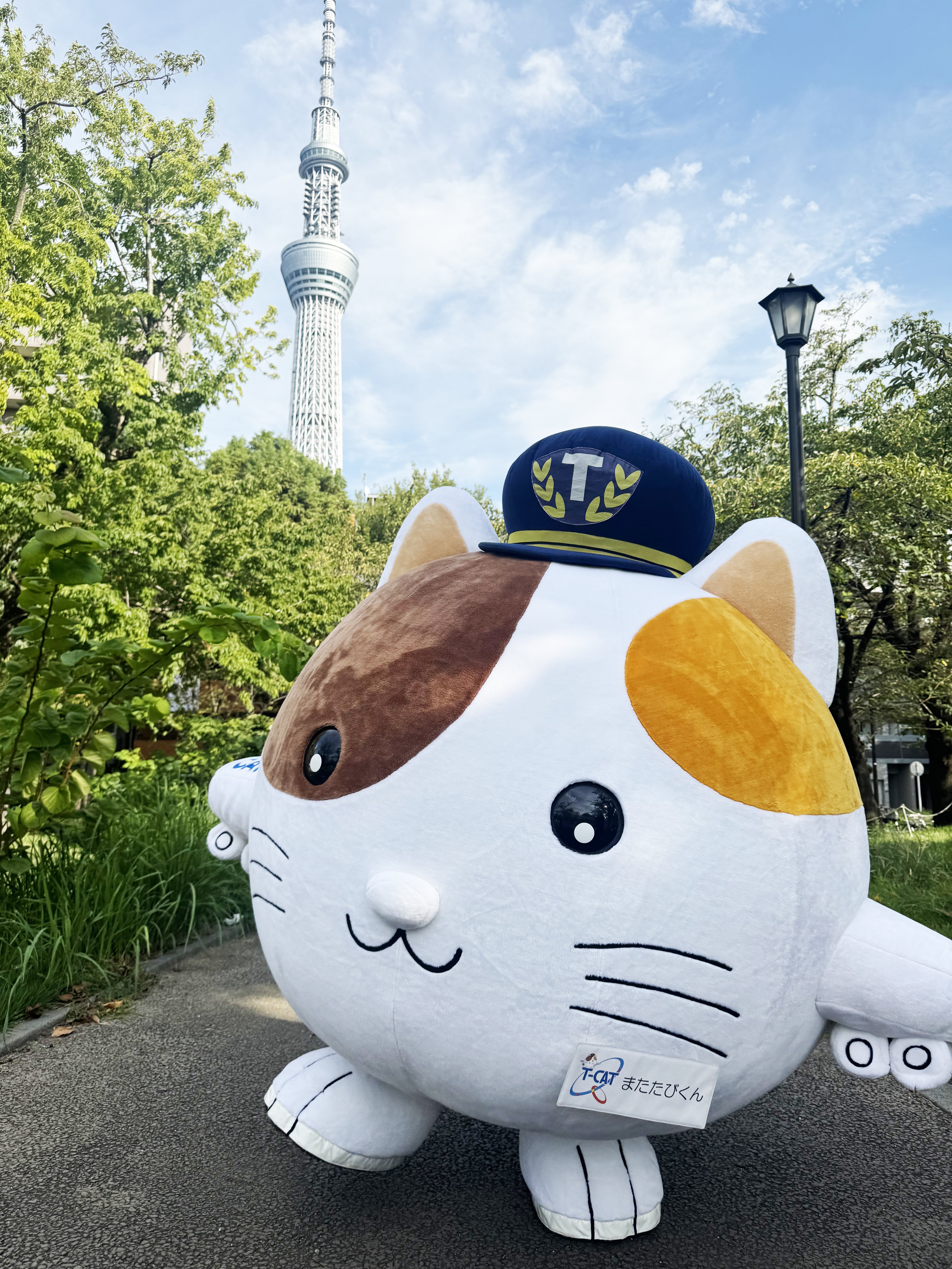 お知らせ - 【御礼】T-CATマスコットキャラクターまたたびくん「ゆる