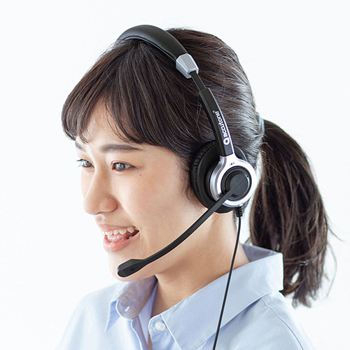 たのめーる】サンワサプライ ノイズキャンセリングマイク付き USB