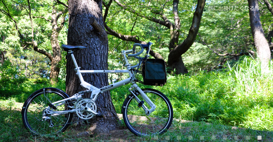 Tartaruga Entertainment Works | Tartaruga Type SPORT やType