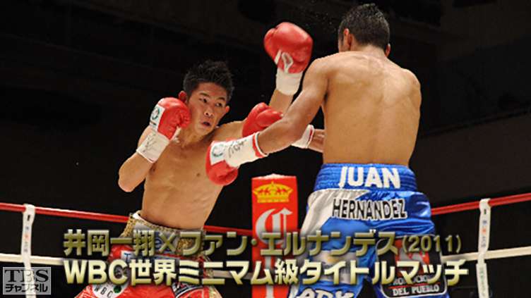 ボクシング WBC世界ミニマム級タイトルマッチ 井岡一翔×ファン