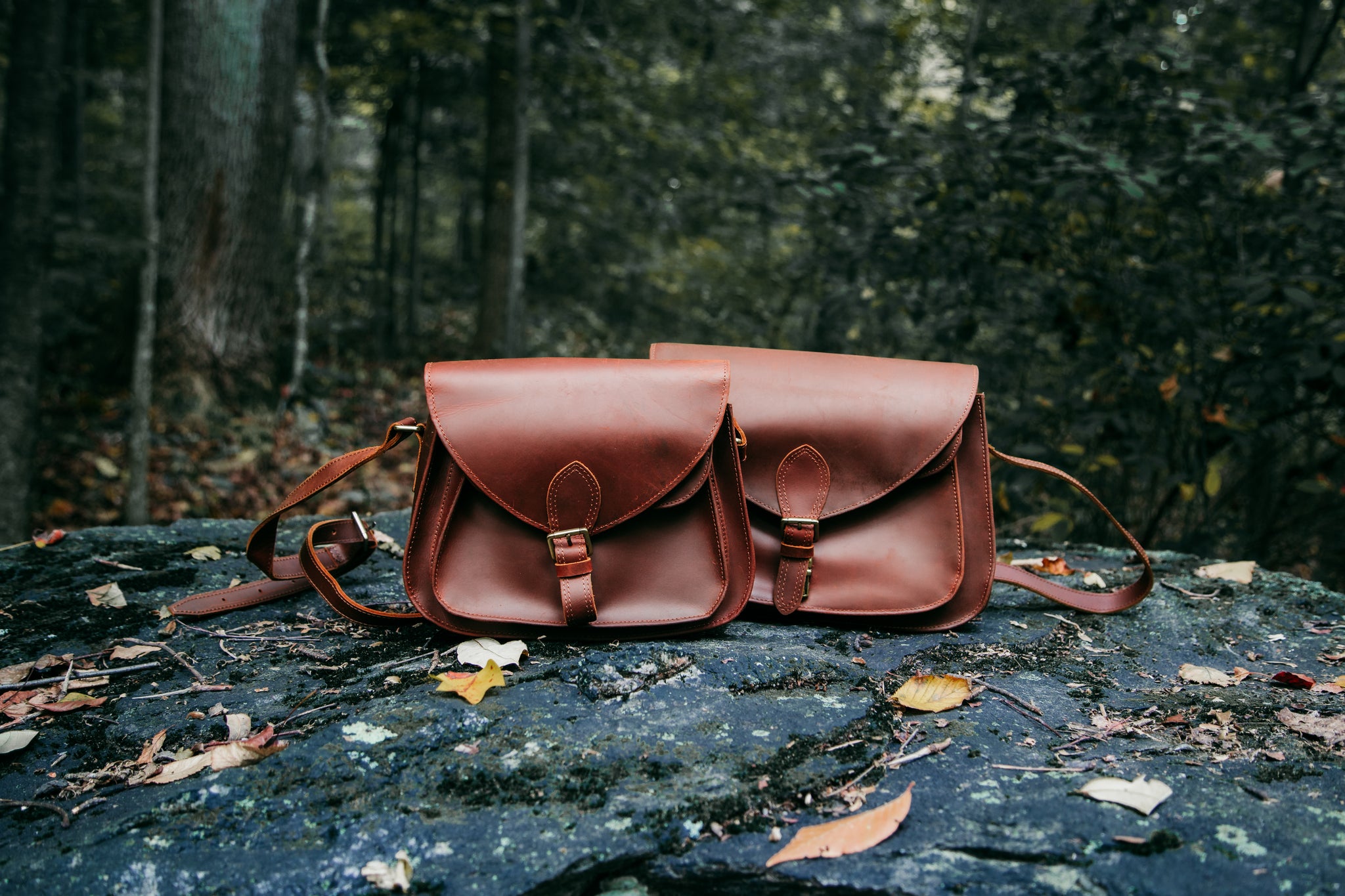 IMG_7611_2048x.jpg?v=1666797217