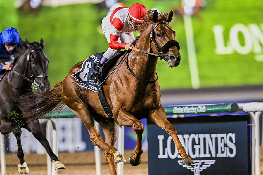 ドバイSC】ダノンデサイルがダービー馬の威厳見せる！戸崎圭太騎手