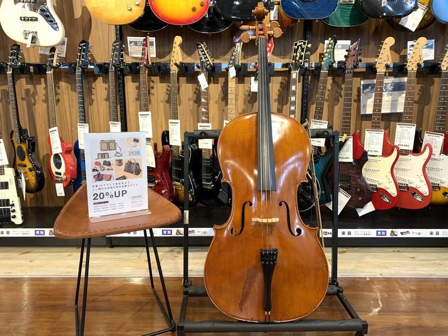 PYGMALIUS RUBINO/ピグマリウス ルビーノ】チェロ RC-350Sが買取入荷