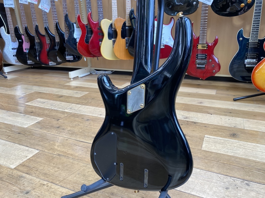 GRECO (グレコ) のエレキベース PXB-950 が買取入荷しました！｜2022年