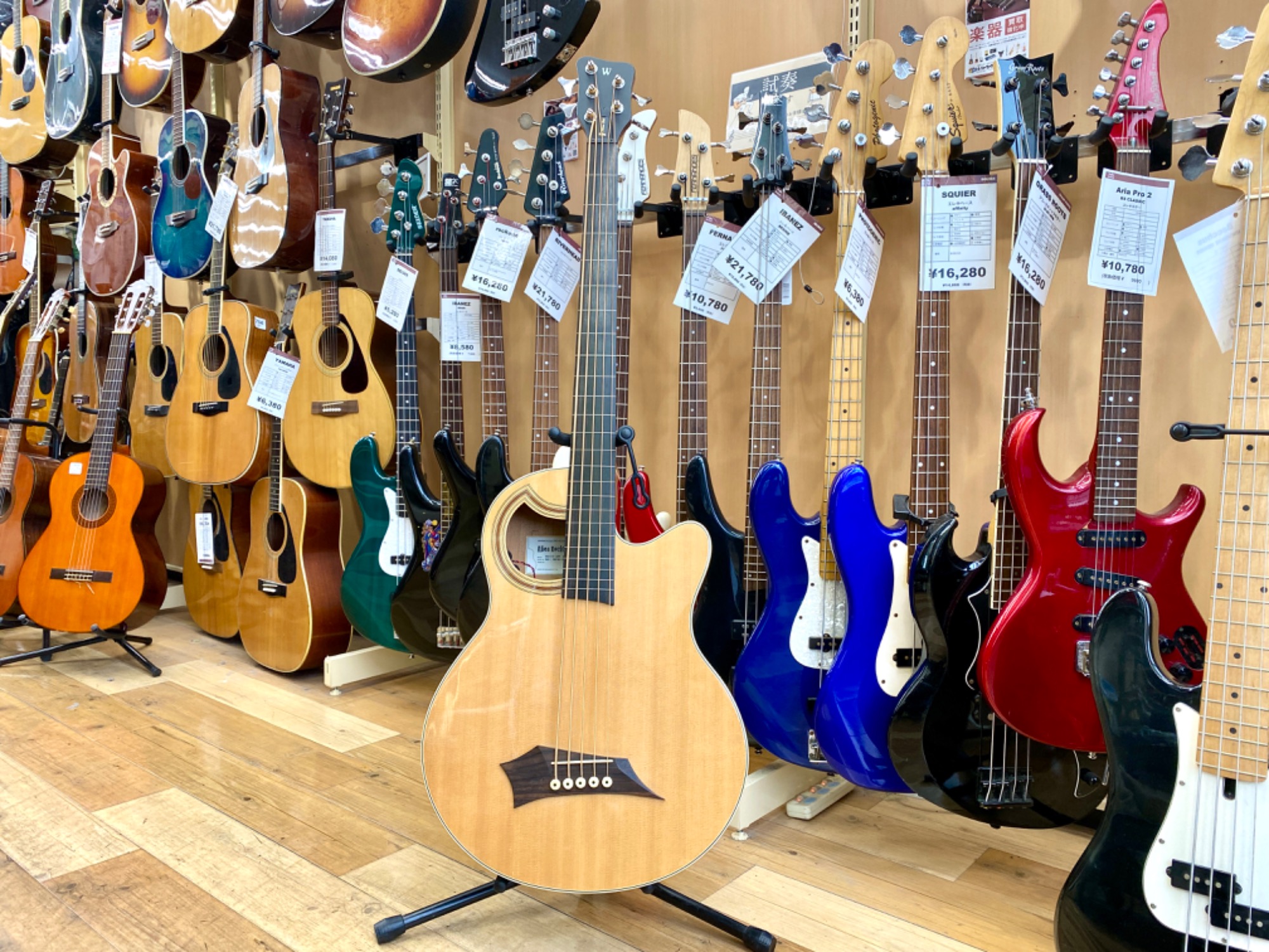 warwick（ワーウィック） フレットレスエレアコベース Rockbass Alien