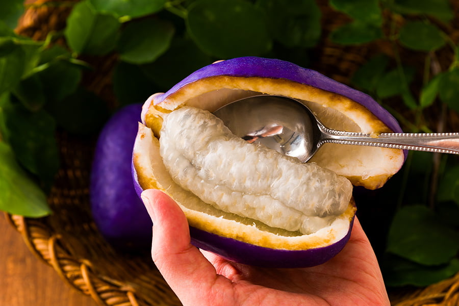 朝日町の大玉あけび約1kg(6〜9玉)