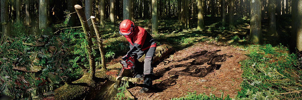 ゼノア GZ2800T-25P10 チェンソーこがる ウエダ金物【公式サイト】