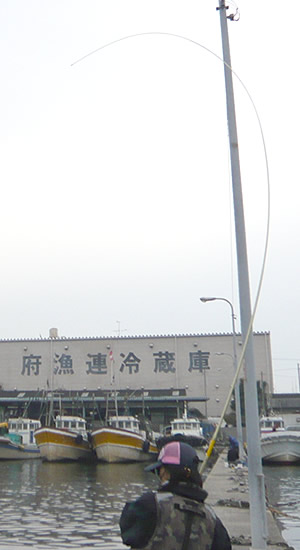 ダイワ プレッサドライ1号-45 - フカセでチヌ！