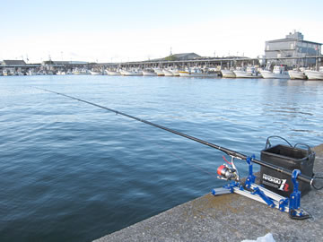 ダイワ 大島 磯 0.8号-53・F - フカセでチヌ！