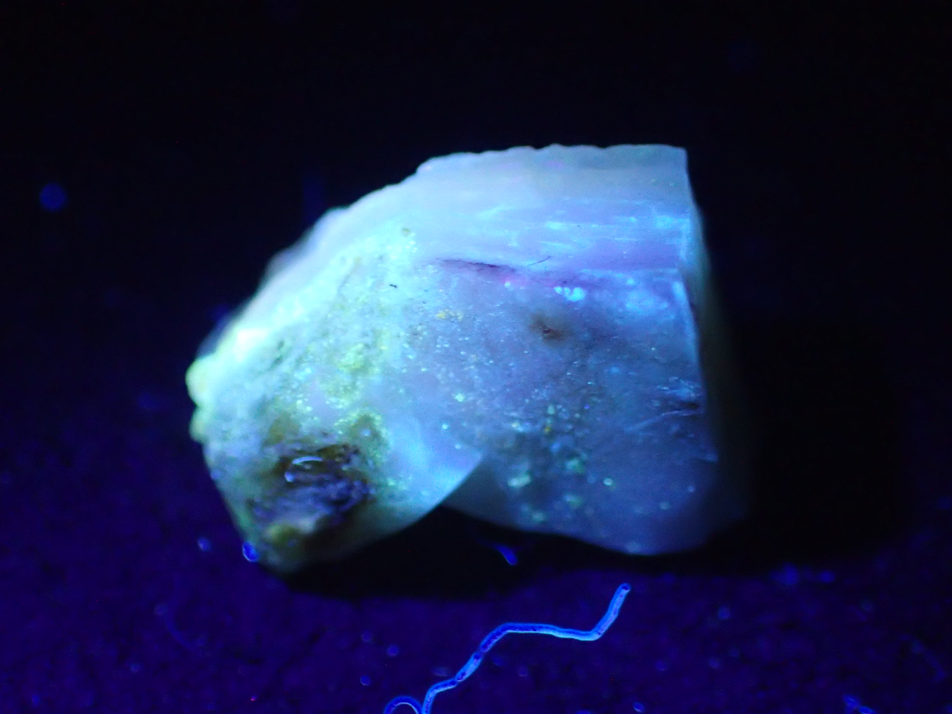 最高品質蛍光オパール 北海道然別湖西方産 ｜石の販売専門店【vec