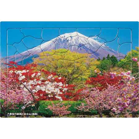 いきいきパズル 八重桜の庭園と富士山（静岡）【通販限定