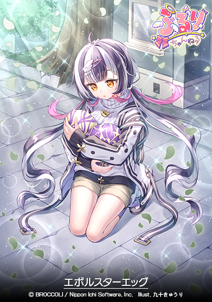 ルル様 ルルさん専用ページ ルルさん専用 ルル様 ゼクス ZX ルル 4枚セット